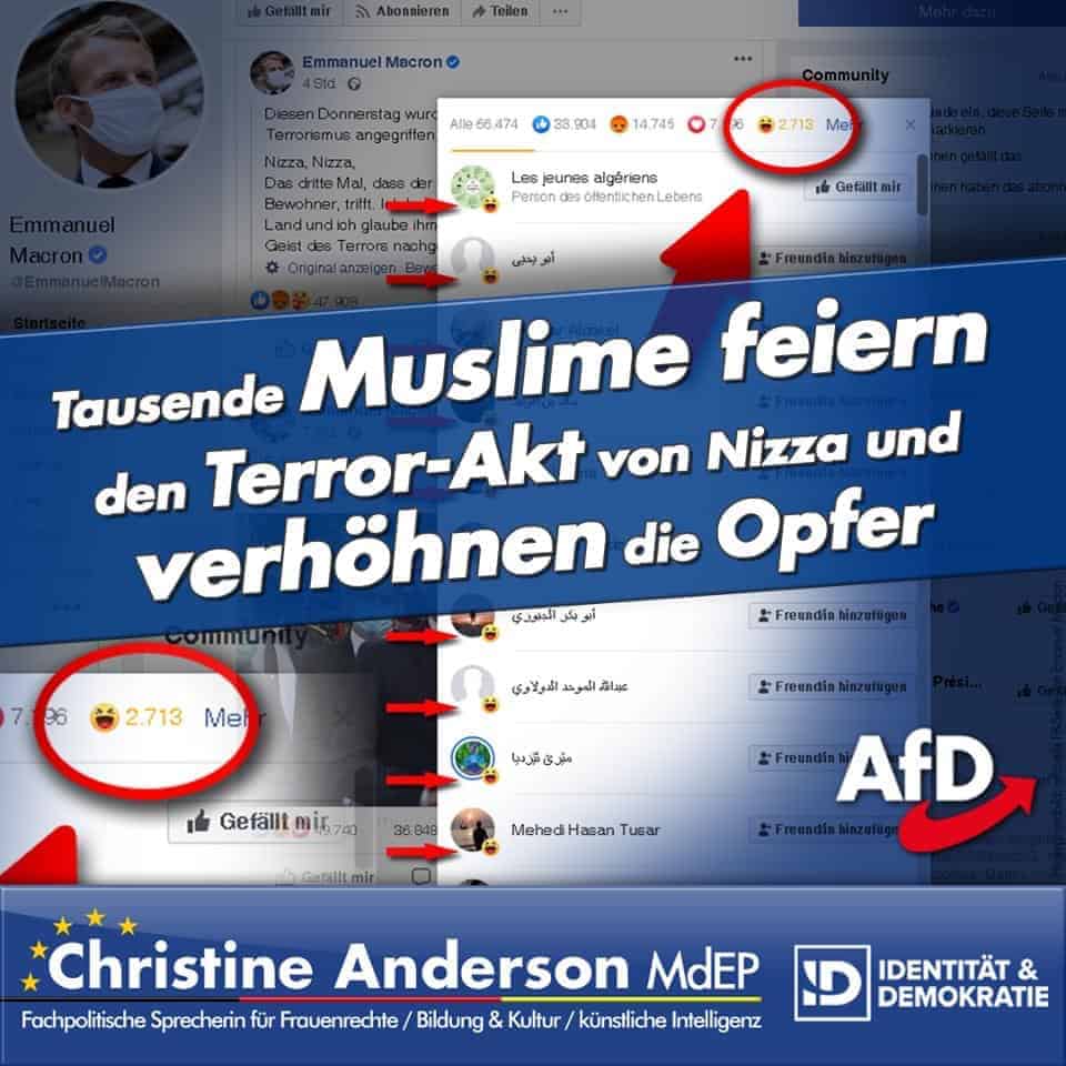 Tausende Muslime feiern den Terror-Akt von Nizza und verhöhnen die Opfer